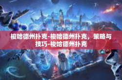 梭哈德州扑克-梭哈德州扑克，策略与技巧-梭哈德州扑克