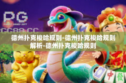 德州扑克梭哈规则-德州扑克梭哈规则解析-德州扑克梭哈规则