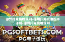 德州扑克梭哈规则-德州扑克梭哈规则详解-德州扑克梭哈规则